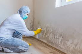 Environmental Consulting for Mold Prevention in Colfax, WI